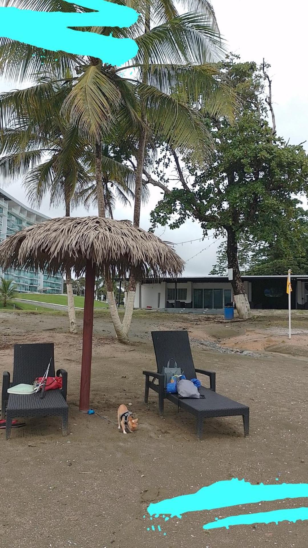 Apartamento En Balabeach Maria Chiquita In Front Of The Beach 2Hab Colon Cameră foto